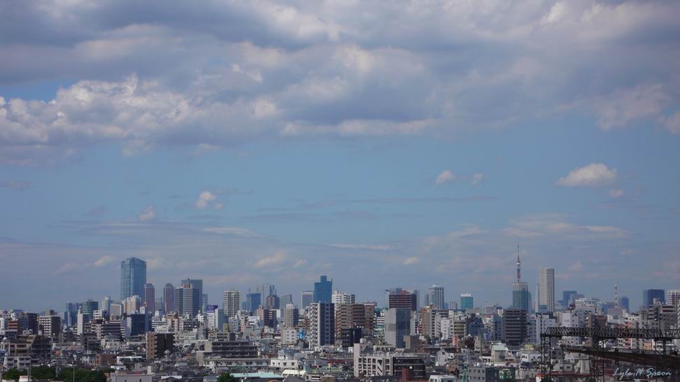 Tokyo Skyline #2 - by Lyle H Saxon, Images Through Glass, Tokyo