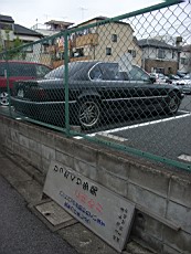 Nakamagome48.JPG
