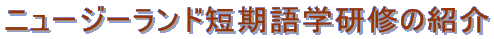 j[W[hZwC̏Љ
