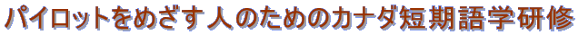 pCbg߂l̂߂̃Ji_ZwC