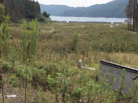 室浜の旧住宅地