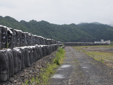 片岸町の海岸