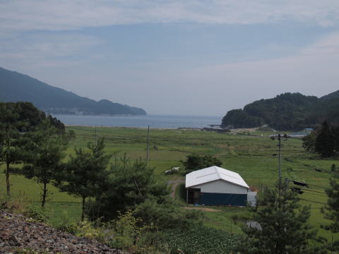 低地と吉浜湾