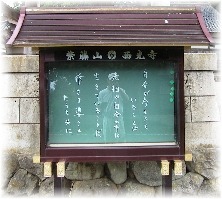 �������̈ē���