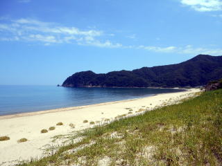 東浜からすぐの海岸は関西圏では人気が高い海水浴場となっているという。