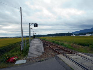南下徳富の駅入口。周りは田んぼに囲まれている。