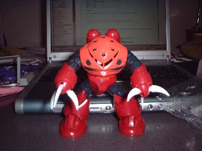 こんなに赤くなりました。