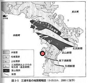 資料3