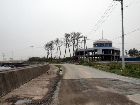 写真　海岸の道路に沿って立つ建物