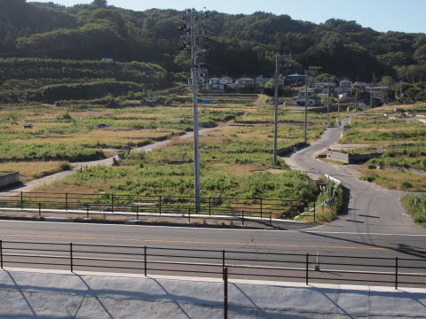 防潮堤上から望む金浜地区