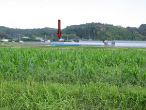 断層の方向遠望