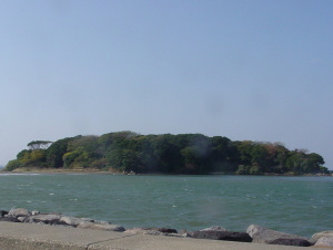 照葉樹林で覆われる沖ノ島