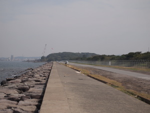 西方から高ノ島（東方向）を望む