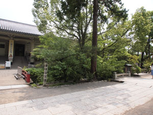 写真3　国宝館に向かって右側の植込み中に源実朝の歌碑がある