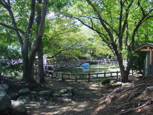 保存池全景