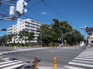 写真1　大島記念公園遠望　左右方向の道路が県道46号線で、正面の緑地が大島記念公園