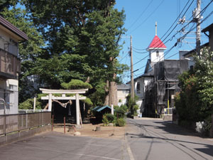 写真1　全景