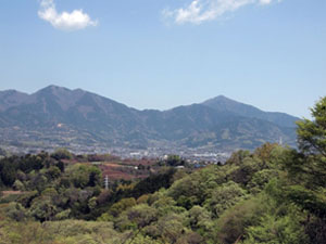 写真1　