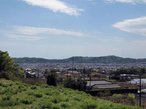 写真2　