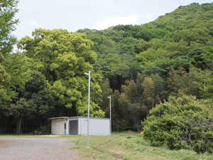 写真4　崩壊斜面を望む