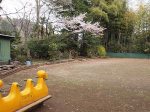 写真2　鬼子母神堂の跡地で震災供養塔は正面の植え込みの中にある
