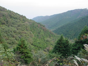 山津波の源流地点付近