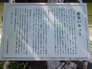 地震いちょう説明板
