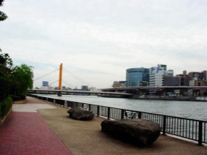 新大橋遠景
