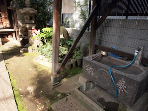 写真5　