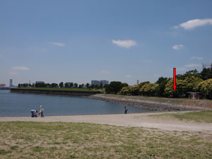 写真1　