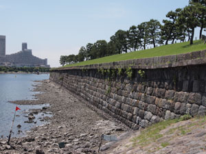 写真4　