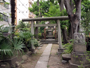 写真6　