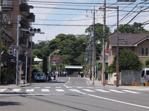 写真6　本門寺の総門と背後の台地