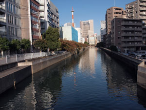 写真2　新田間橋より新田間川の下流方向を望む