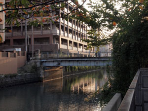 写真12　平戸橋を下流側から望む