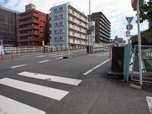 写真17　平岡橋