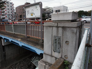 写真8　保土ヶ谷橋を下流側から望む