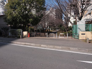 写真8　新田間川緑地　この付近に木ノ花橋があった