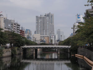 写真18　上流側より黄金橋を望む