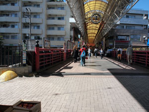 写真11　観音橋