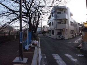 写真19　