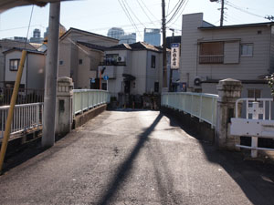 写真9　左岸（東側）より土橋を望む