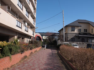 写真3　暗渠となった禅馬川