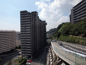 斜面下の平坦面に偕楽園があった