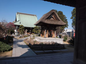 写真2　山門から本堂を望む