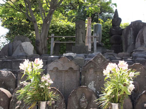写真4　同上