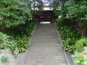 石段下から宝生寺の山門を望む