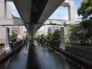 写真4　中村川に架かる久良岐（くらき）橋より下流の道場橋方向を望む