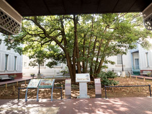 写真3　