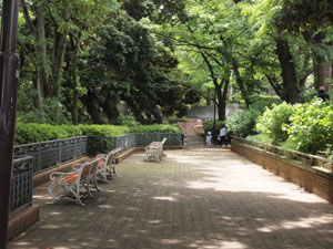 斜面遊歩道の一角